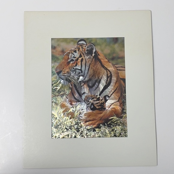 1980’s Print Holographic Foil Of Mother Tiger Baby - Picture 2 of 6